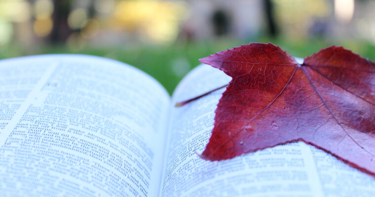 Finding Stillness in a World That Won’t Slow Down