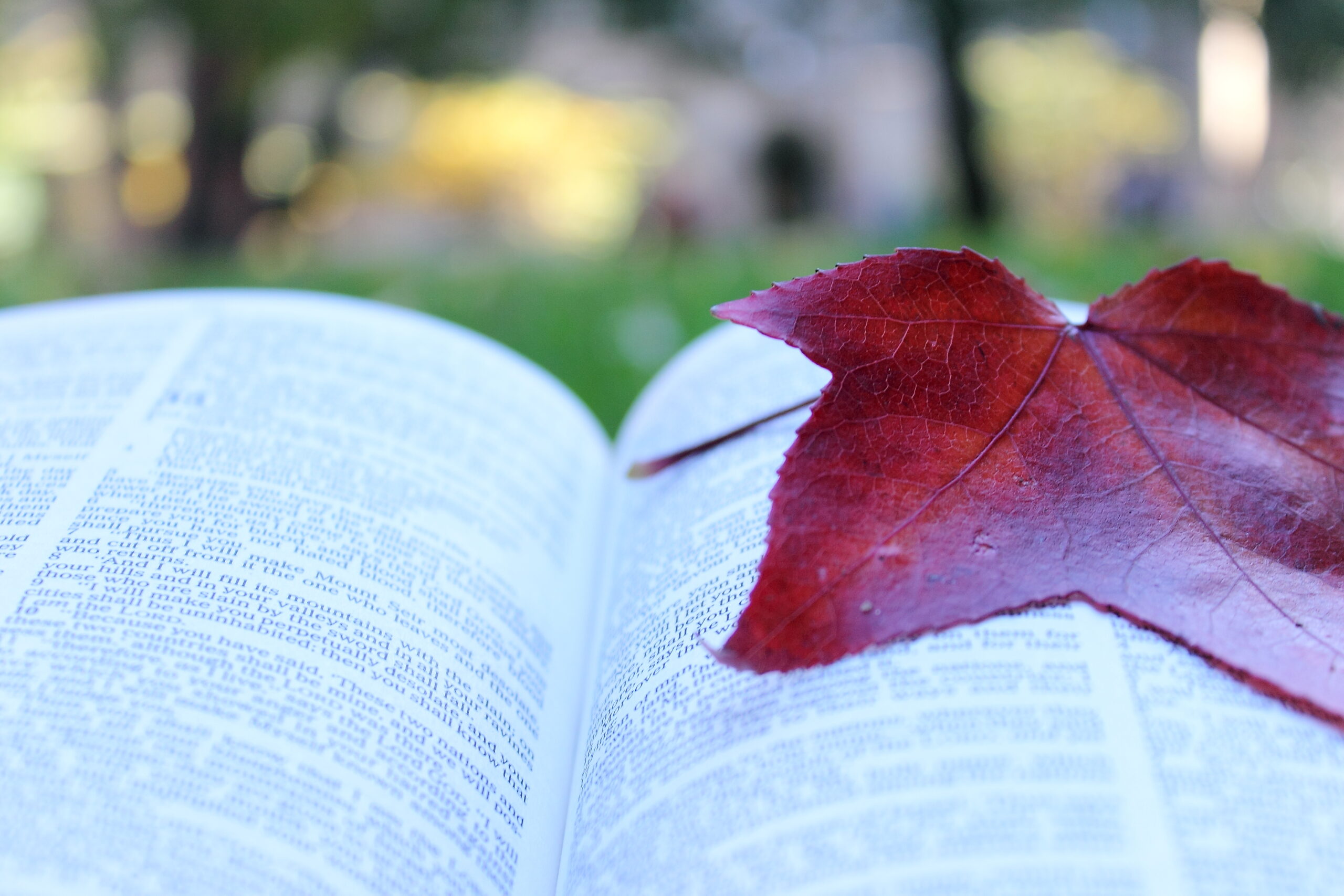 Finding Stillness in a World That Won’t Slow Down